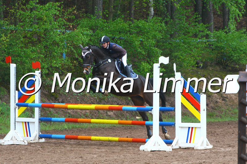 005L4778_Spring  Ax.JPG